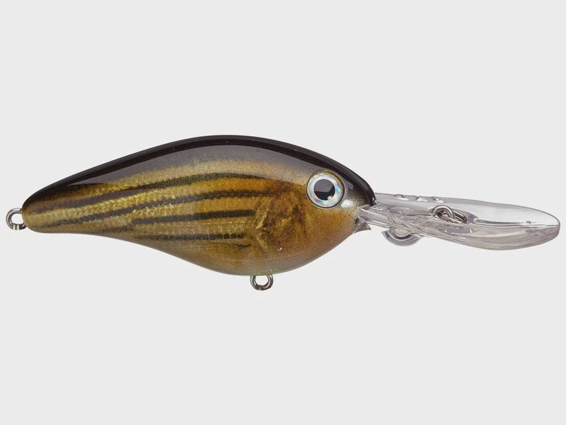 8XD Barfish