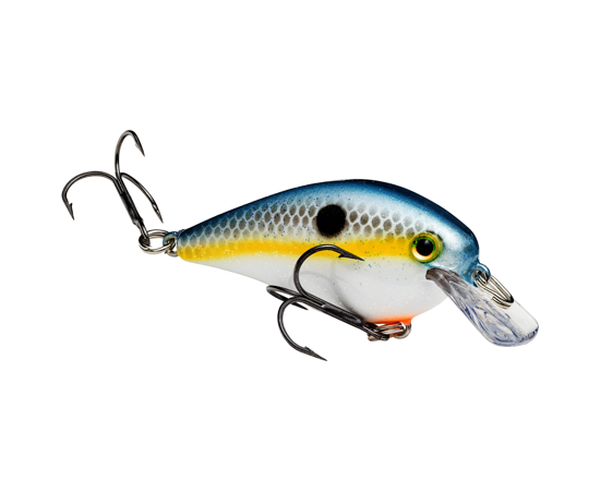 1.0 Sexy Shad