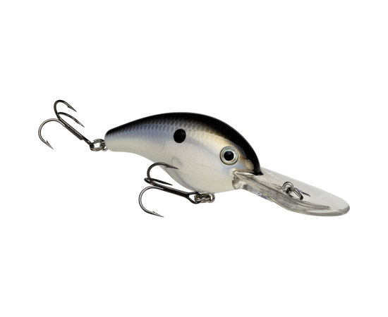 5XD Gizzard Shad