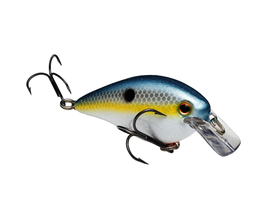 1.5 Sexy Shad