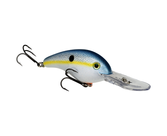 5XD (silent) Sexy Shad