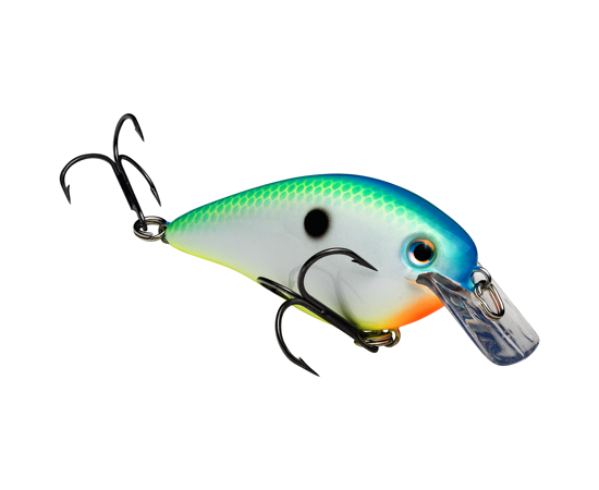 1.5 Citrus Shad