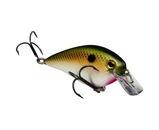 1.5 TN Shad
