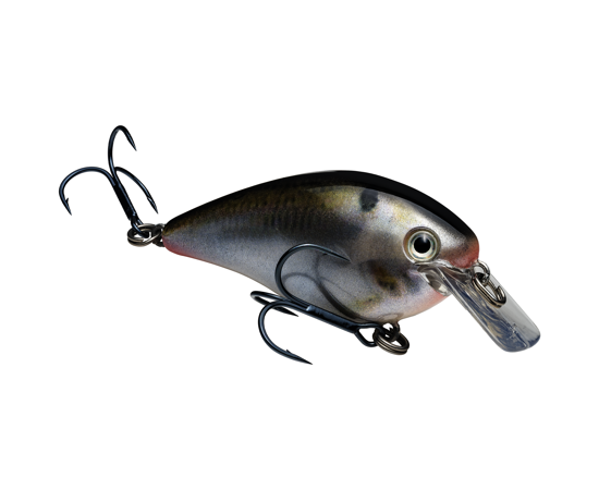 1.5 Natural Shad