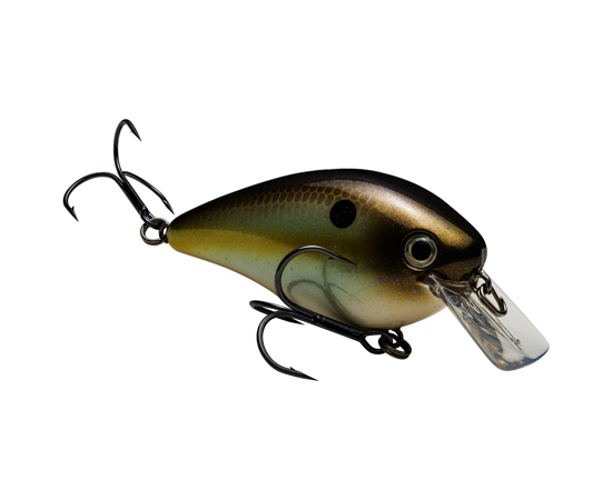 2.5 Summer Sexy Shad
