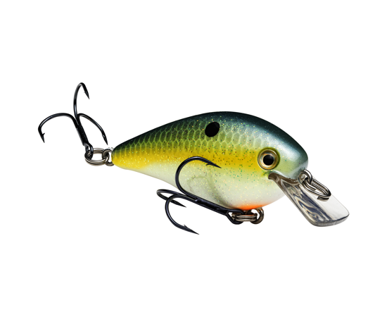 1.0 Chart. Sexy Shad
