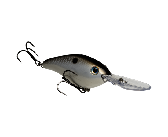 6XD Gizzard Shad