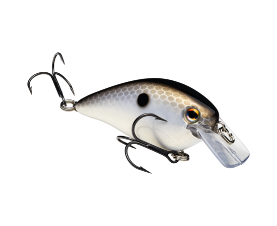 1.5 Gizzard Shad