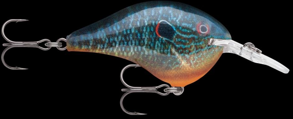 DT6 Live Pumpkinseed