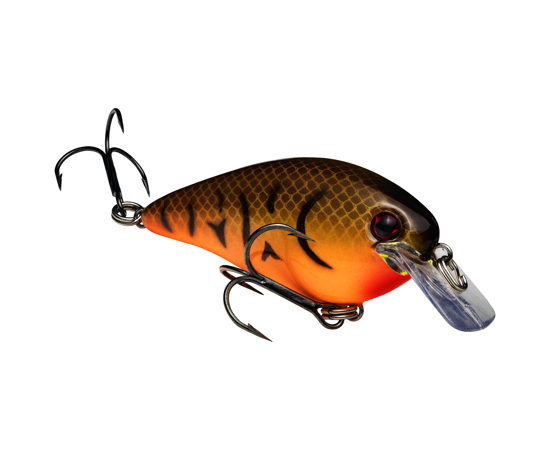 1.5 Orange Belly Craw