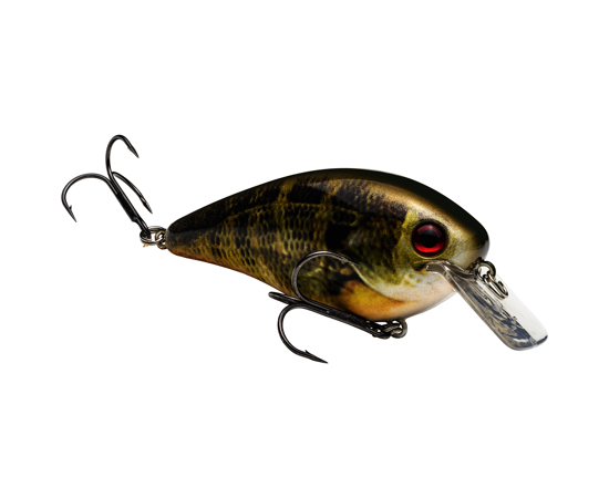 4.0 Natural Bream