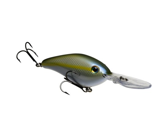 6XD Sexy Herring
