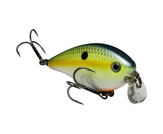 1.5 Shallow Chart. Sexy Shad