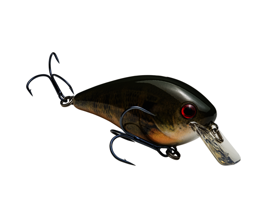 2.5 Natural Bream