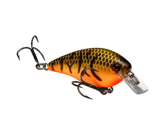 1.0 orange belly craw