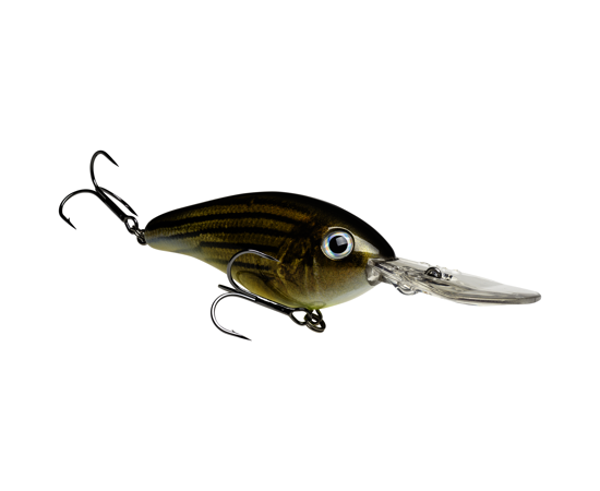 6XD Barfish