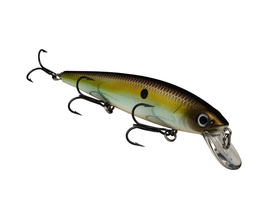 Jerkbait 300 Summer Sexy Shad