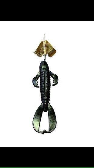 Revelation Buzz Gold/Blk