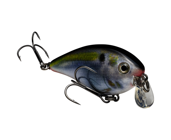 1.5 Shallow Natural Shad
