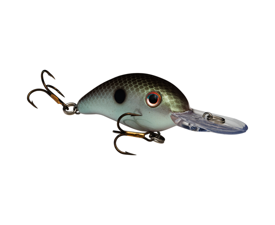 Series 3 Green Gizzard Shad