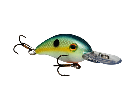 Series 3 Chart Sexy Shad