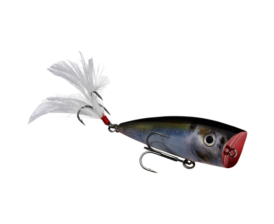 Splash Natural Shad