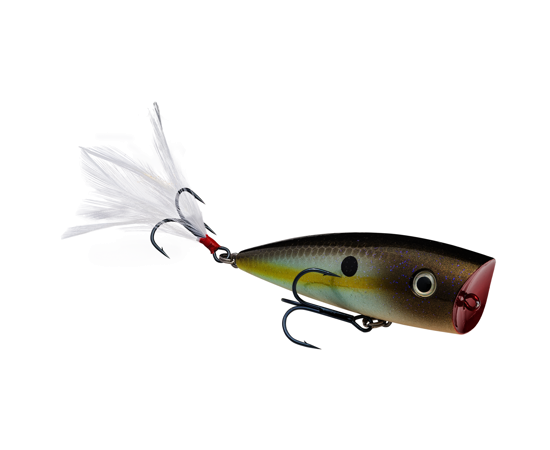 Splash JR Summer Sexy Shad