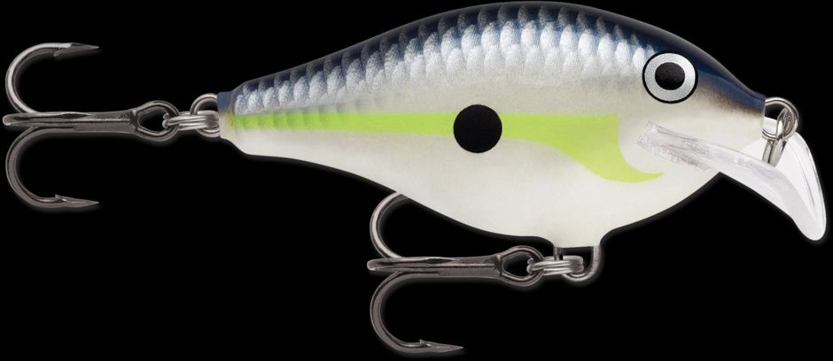 Scatter Rap Helsinki Shad