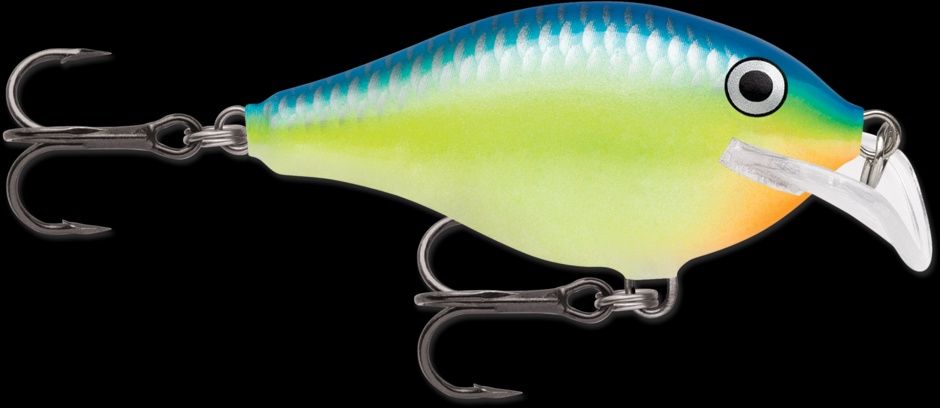 Scatter Rap Carribean Shad