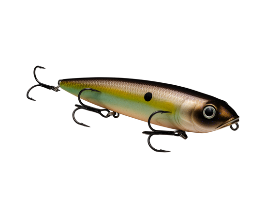 Sexy Dawg Summer Sexy Shad