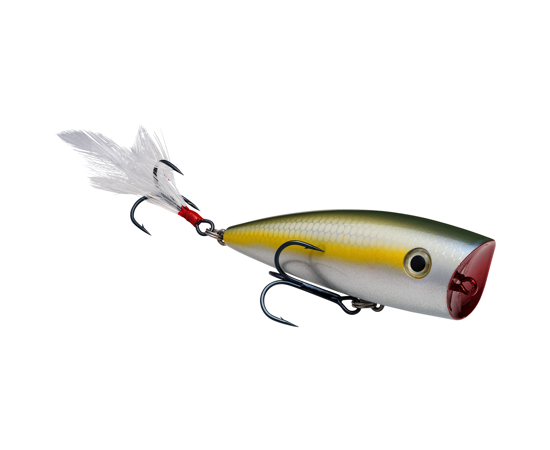 Splash JR Sexy Blue Back Herring