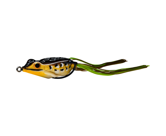 Sexy Frog Spring Frog