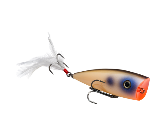 Splash JR Oyster
