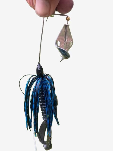 Buzz Bait