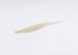 Zoom Salty Super Fluke