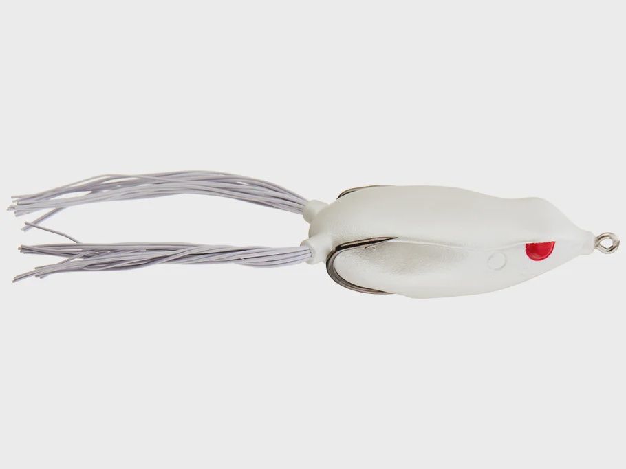 Bronzeye Frog, Color: Albino