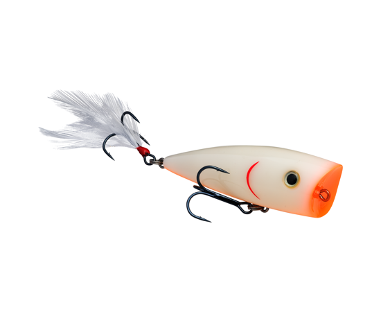 Splash Bone