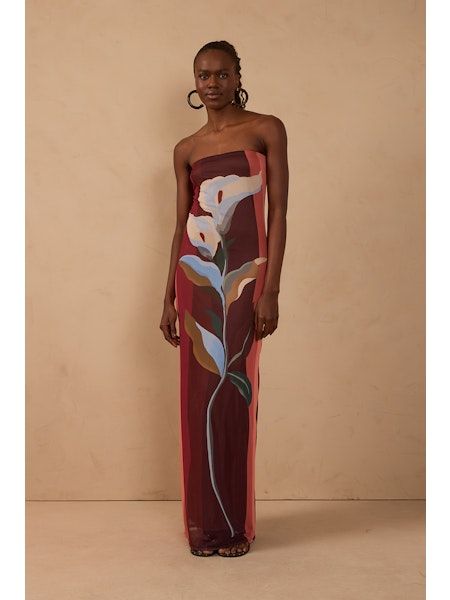 Brisa Solar Multicolor Strapless Mesh Maxi Dress