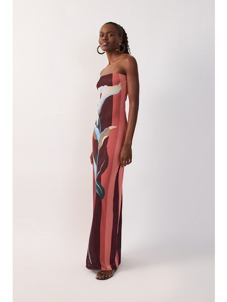Brisa Solar Multicolor Strapless Mesh Maxi Dress