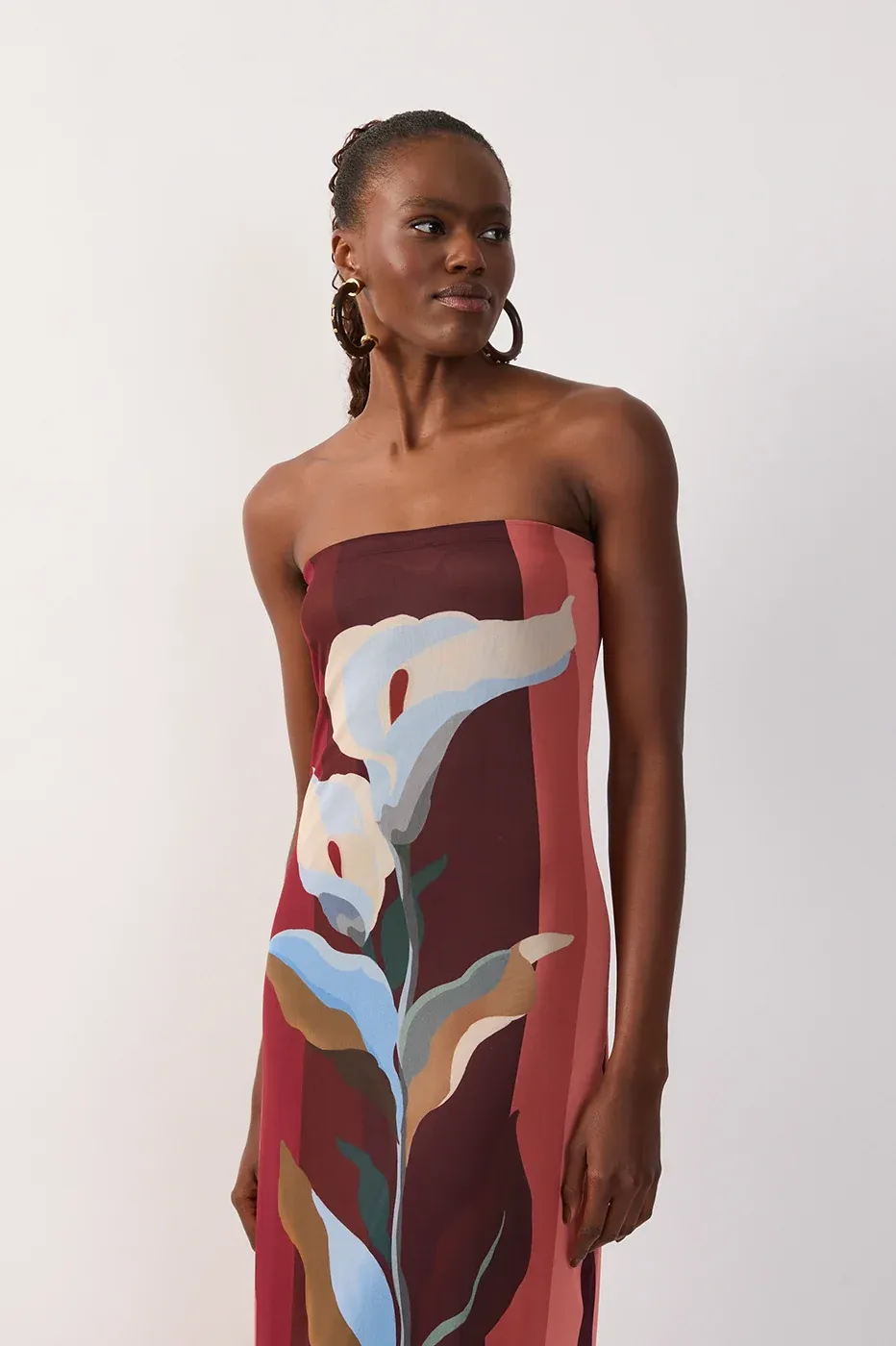 Brisa Solar Multicolor Strapless Mesh Maxi Dress