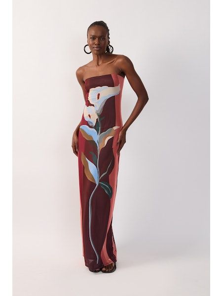 Brisa Solar Multicolor Strapless Mesh Maxi Dress, Size: XS