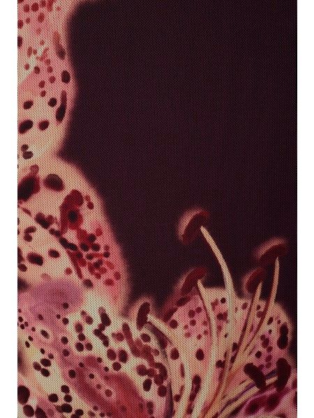 Burgundy Botanica Mesh Maxi Dress