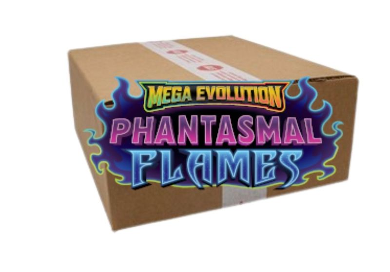 Case de 10 Coffret Dresseur d'Élite de Flammes Fantasmagoriques
