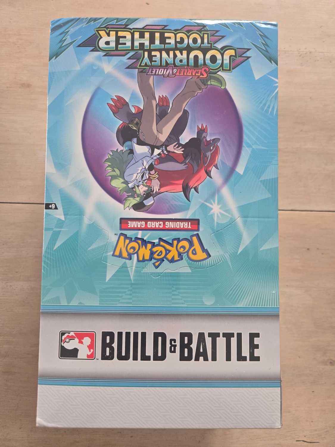 Pokemon Ev9 Journey Together Display Build Battle