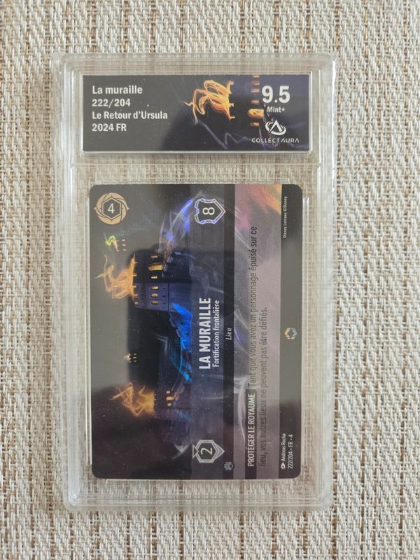 La Muraille - Fortification frontalière (V.2)