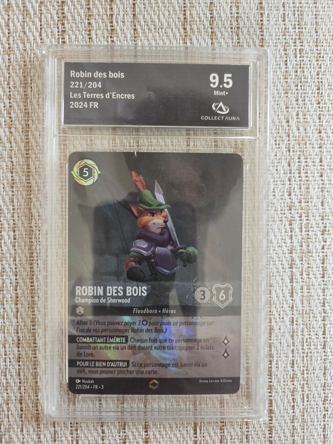 Robin des Bois - Champion de Sherwood (V.2)