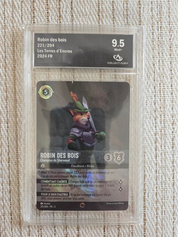 Robin des Bois - Champion de Sherwood (V.2)