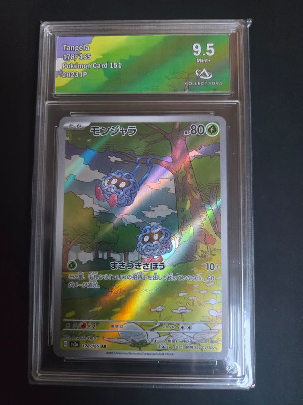 Saquedeneu (sv2a 178)