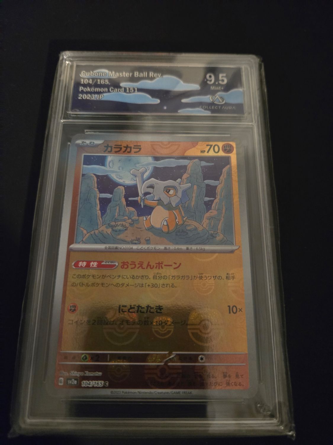 Masterball Osselait (sv2a 104)