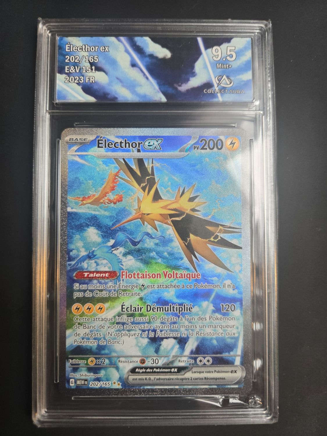 Électhor ex (MEW 202)